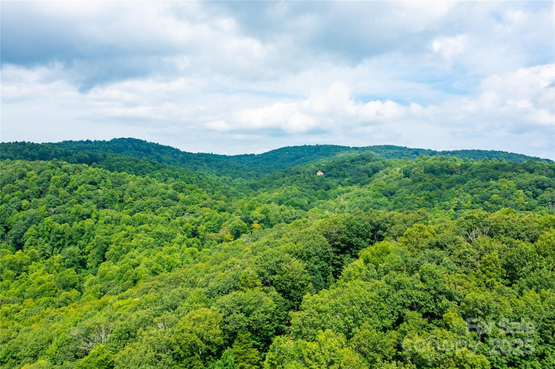 000 Sassafras Drive - Photo 7