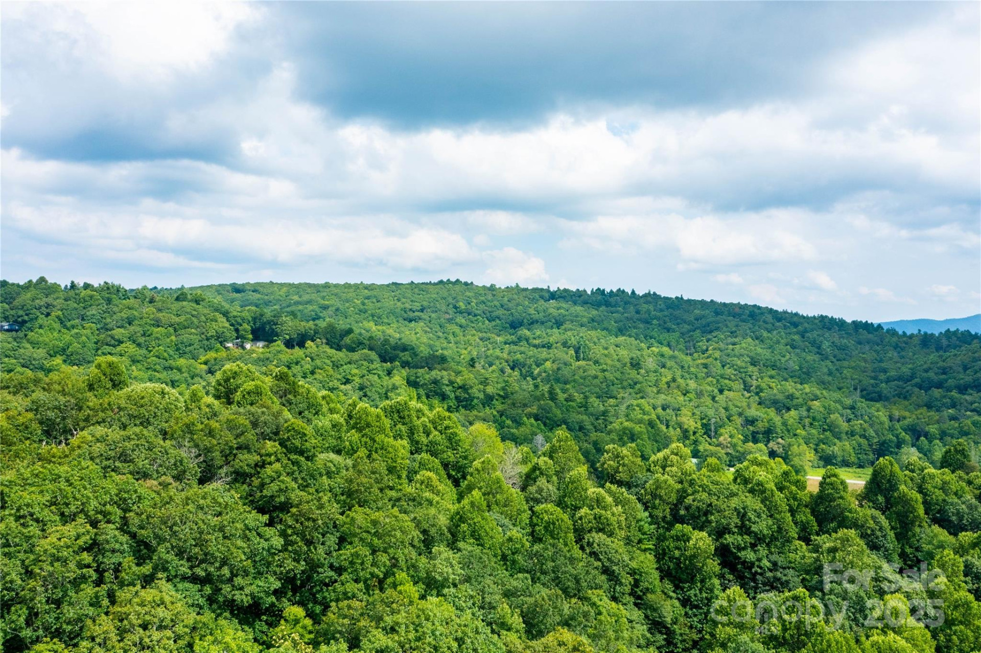 000 Sassafras Drive - Photo 8