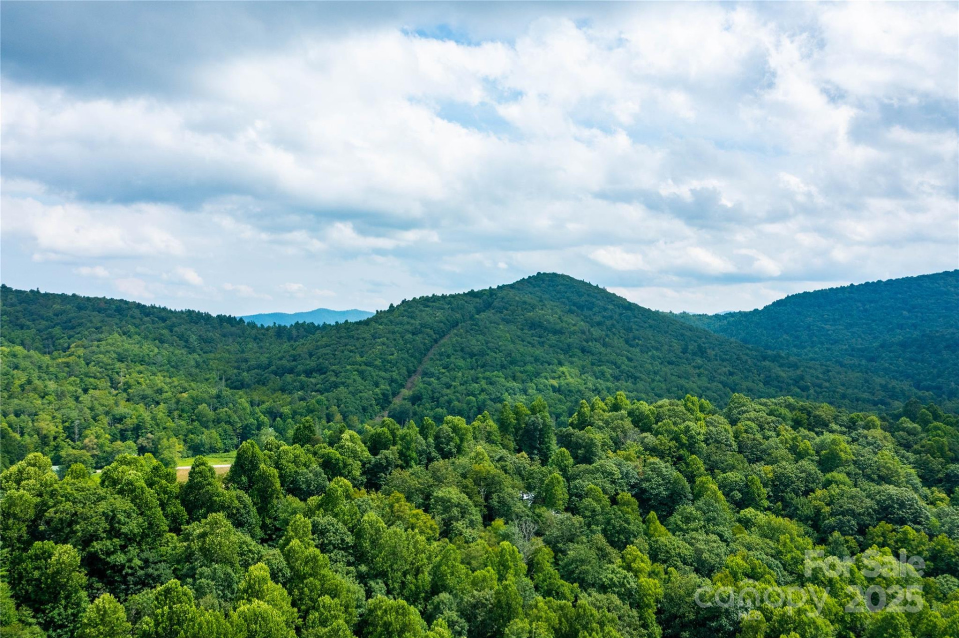 000 Sassafras Drive - Photo 10