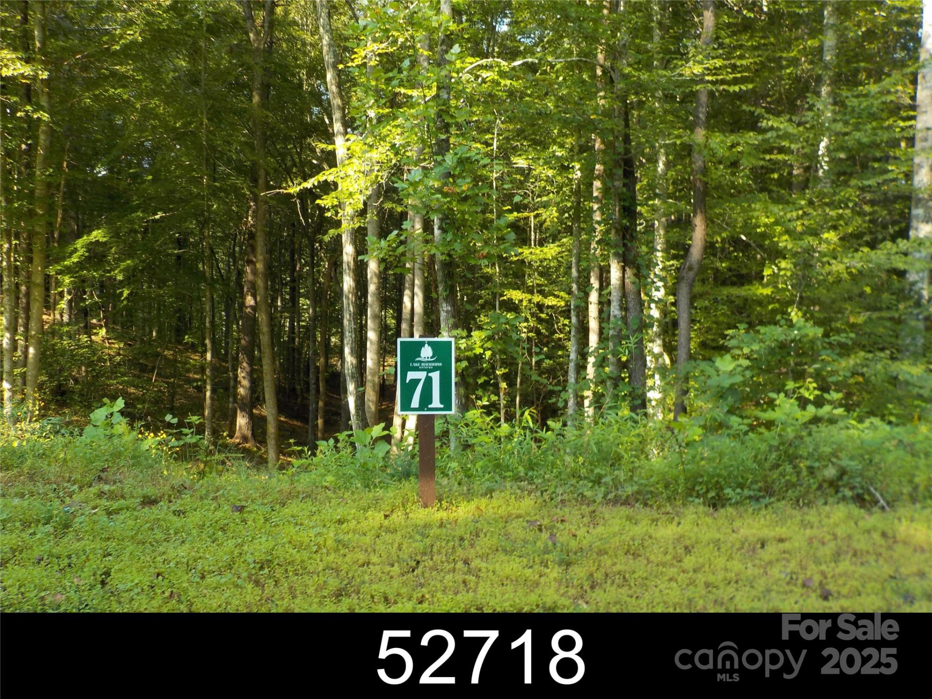 110 Glass Water Point #71 - Photo 2