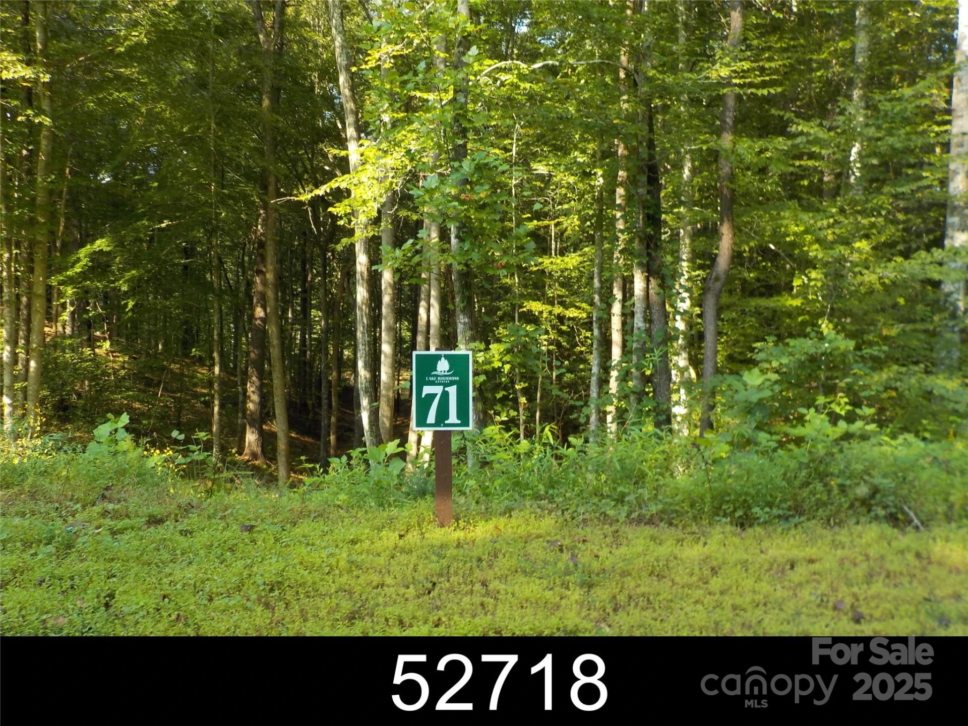 110 Glass Water Point #71 - Photo 2