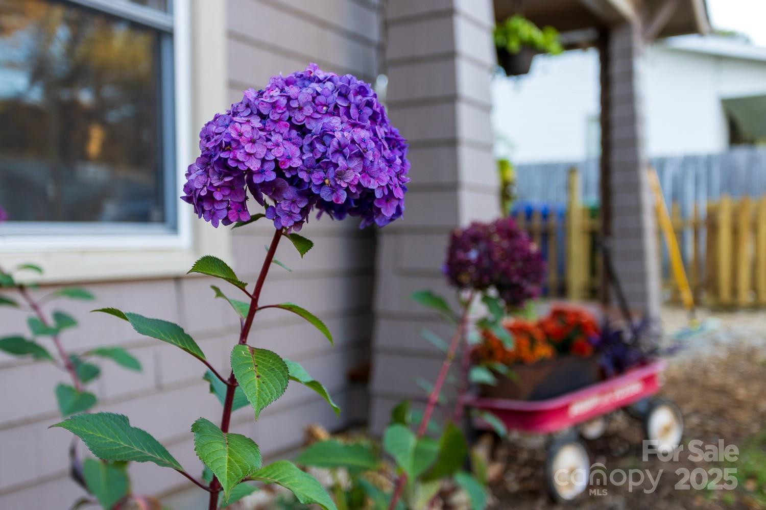 87 Pershing Road - Photo 33