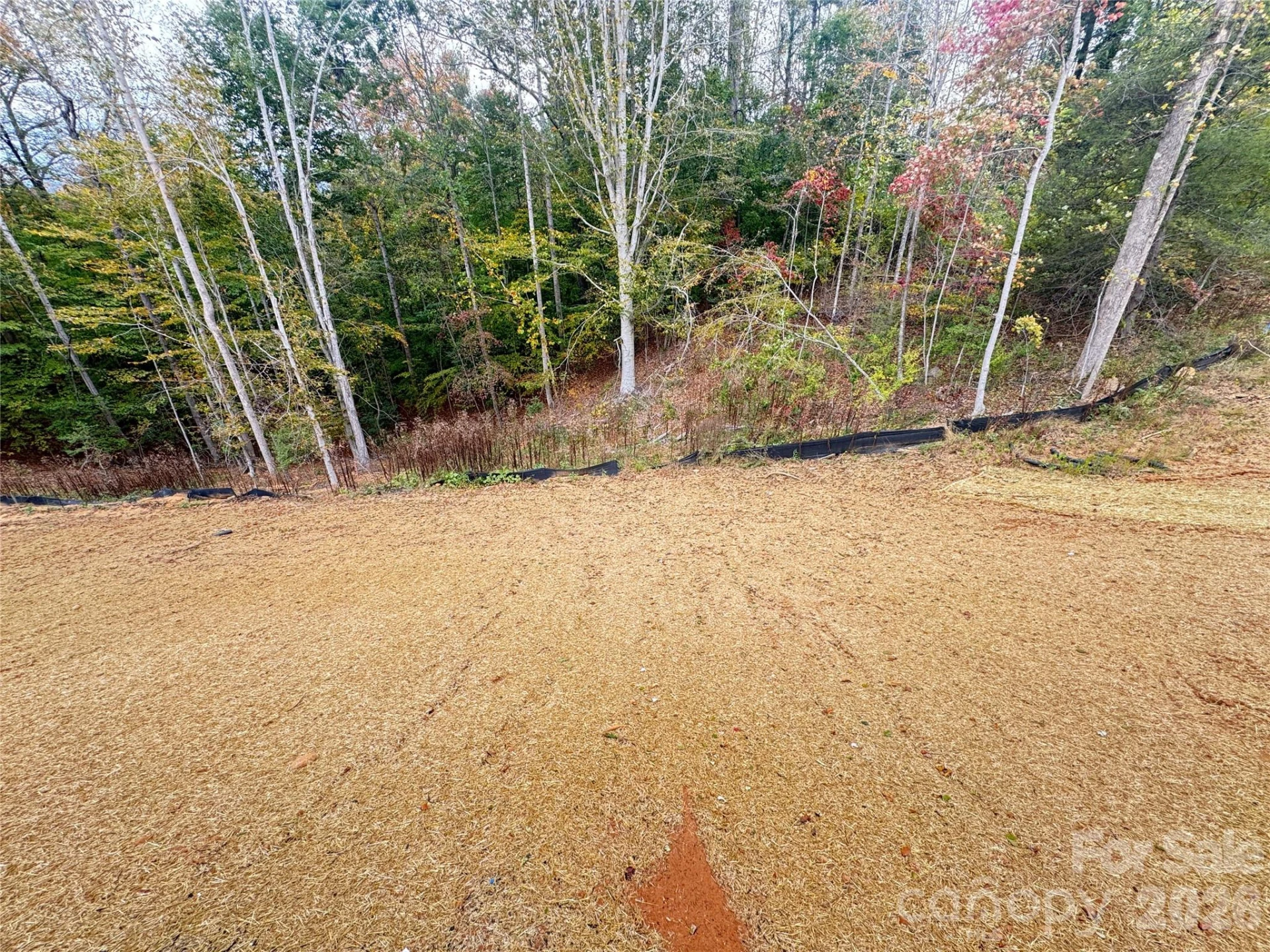 1205 Summerhill Street - Photo 24