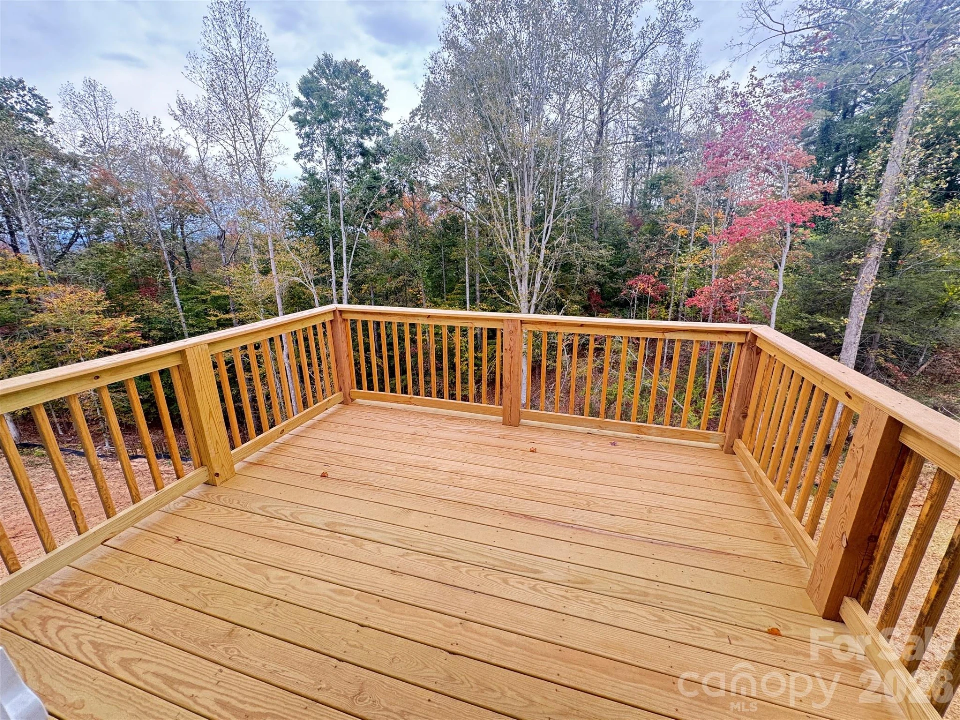 1205 Summerhill Street - Photo 8