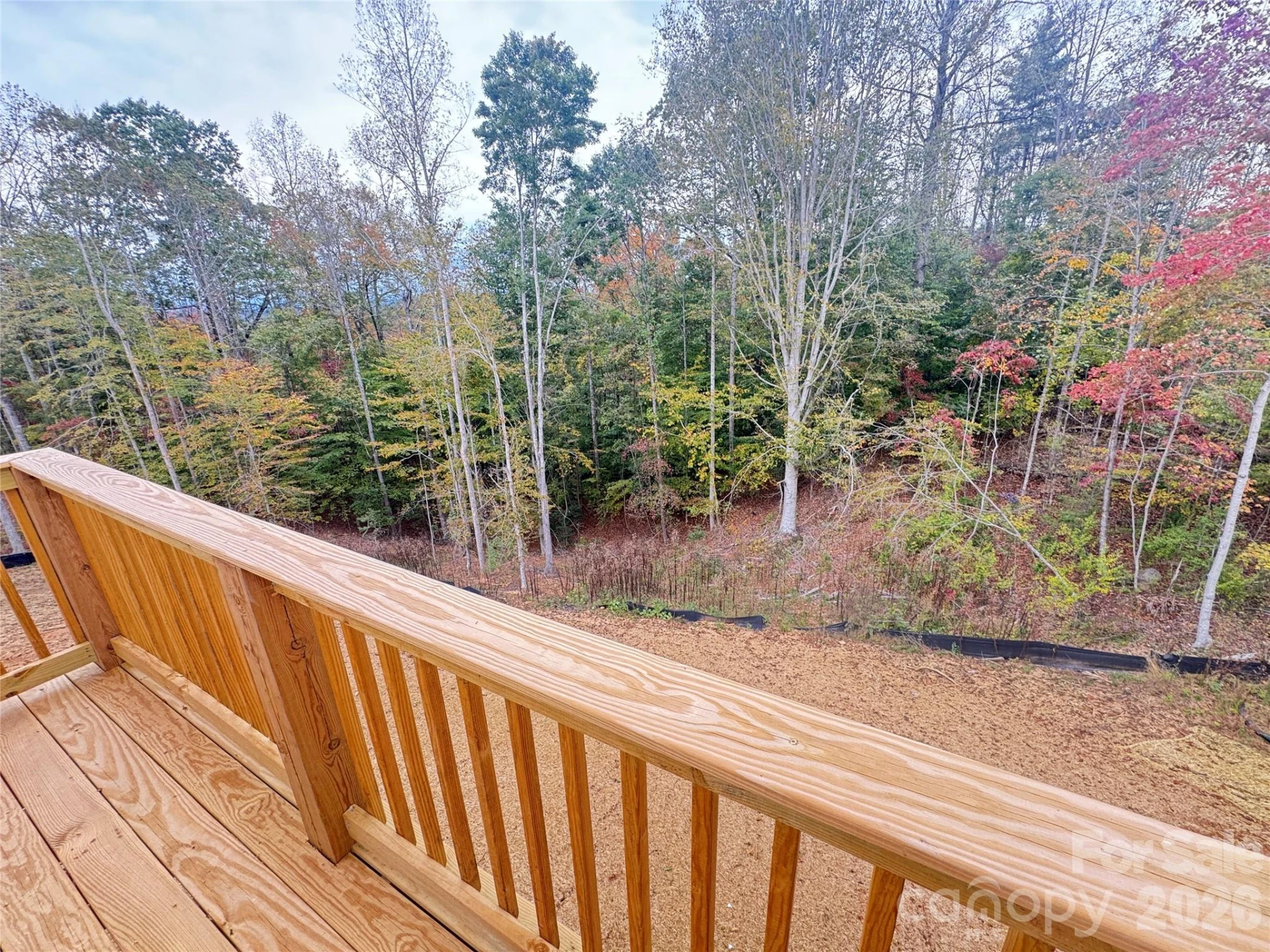 1205 Summerhill Street - Photo 10