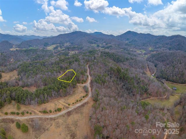 00 Wildlife Drive, Clyde, NC, 28721