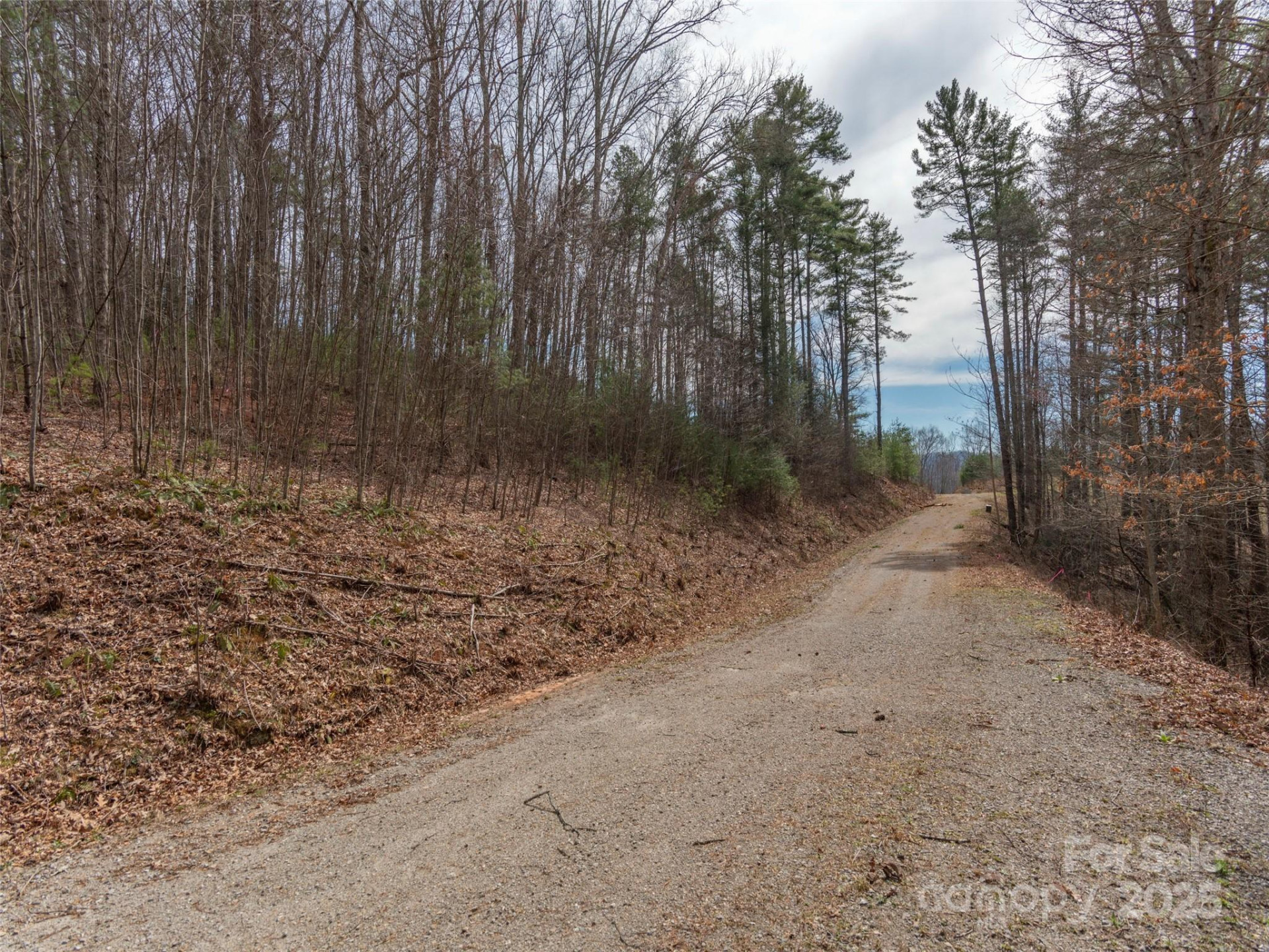 00 Wildlife Drive #7 - Photo 5