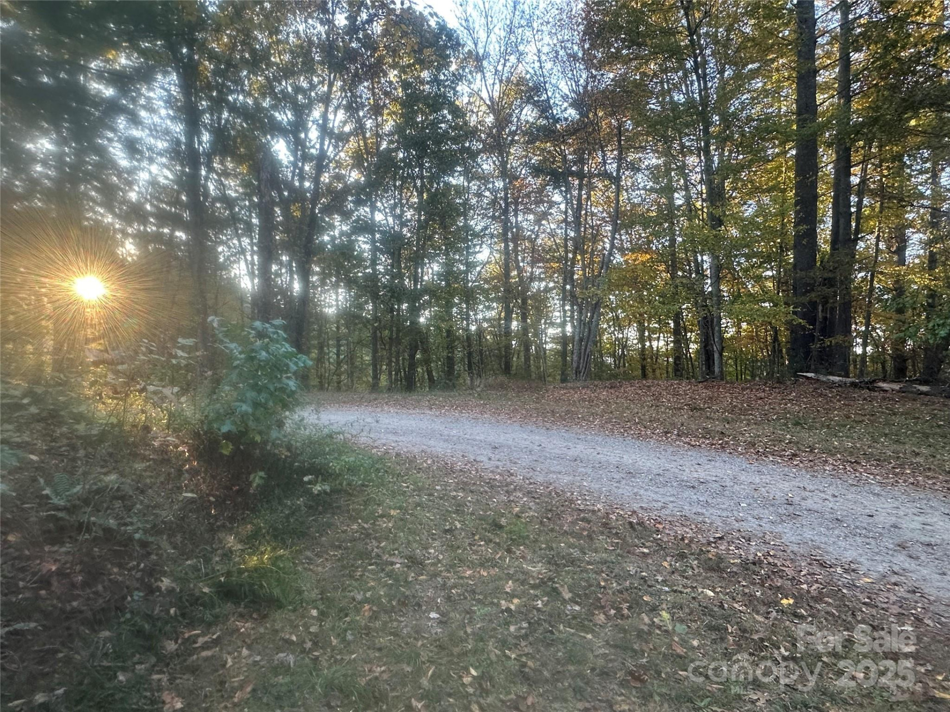 00 Wildlife Drive #7 - Photo 6