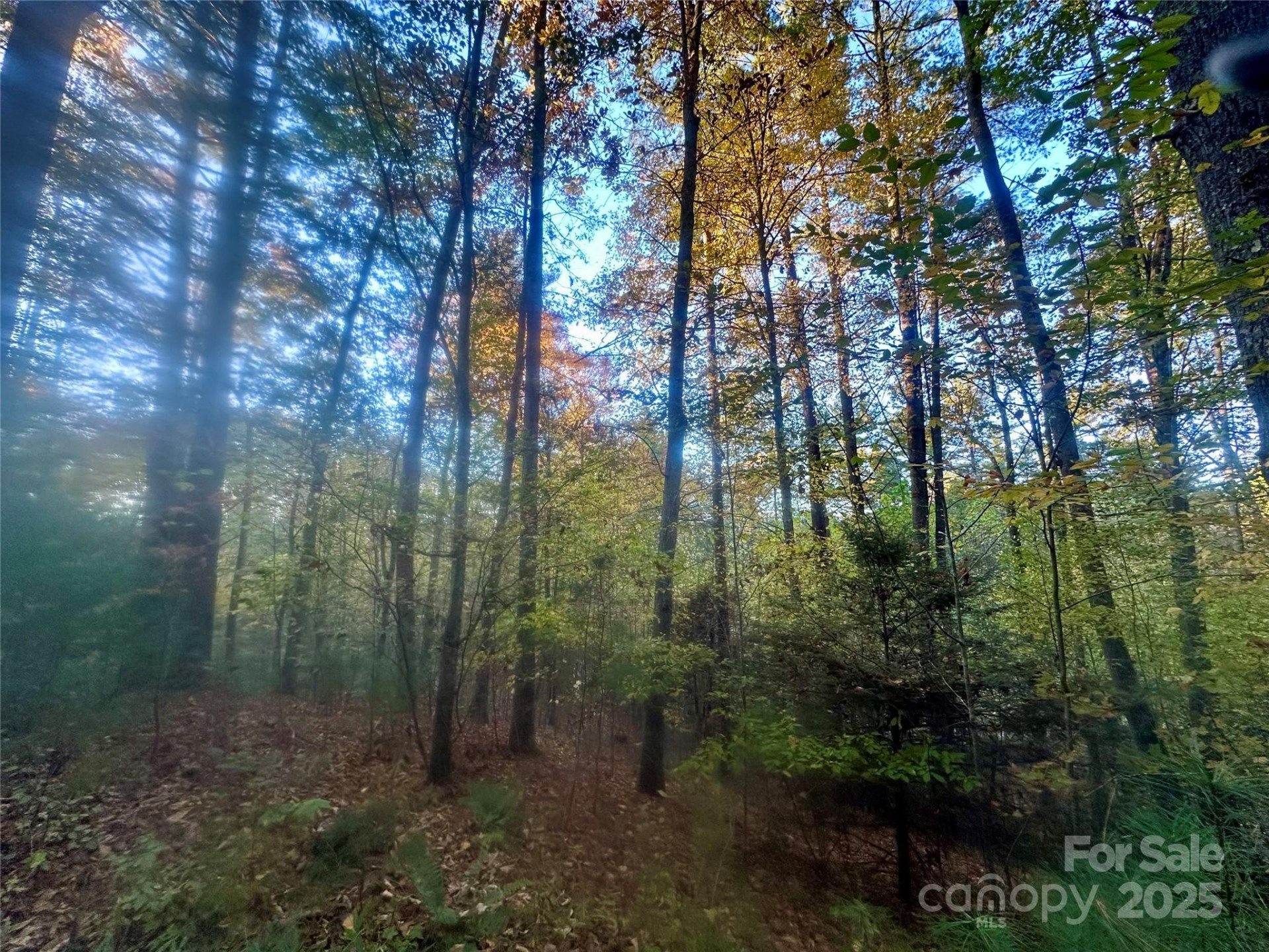 00 Wildlife Drive #7 - Photo 7