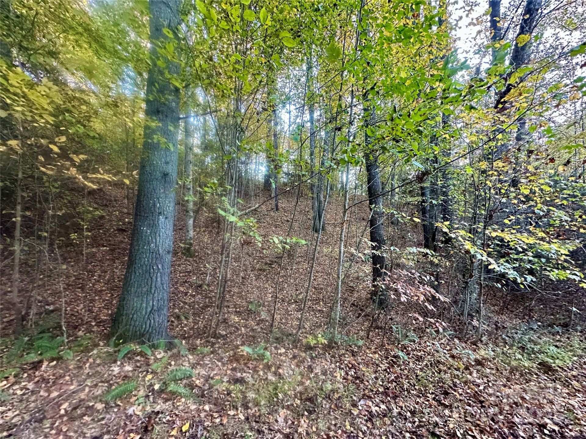 00 Wildlife Drive #7 - Photo 8