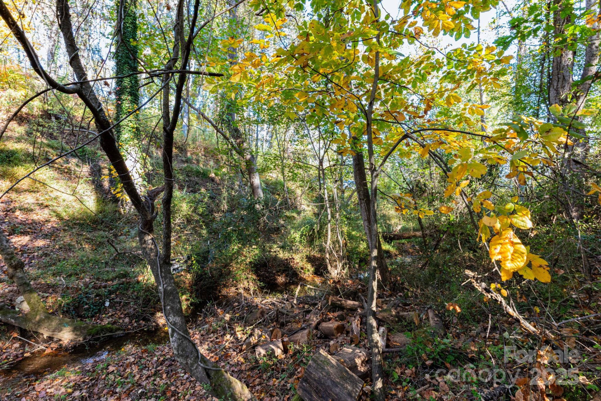 30 Waynesville Avenue #22 - Photo 5