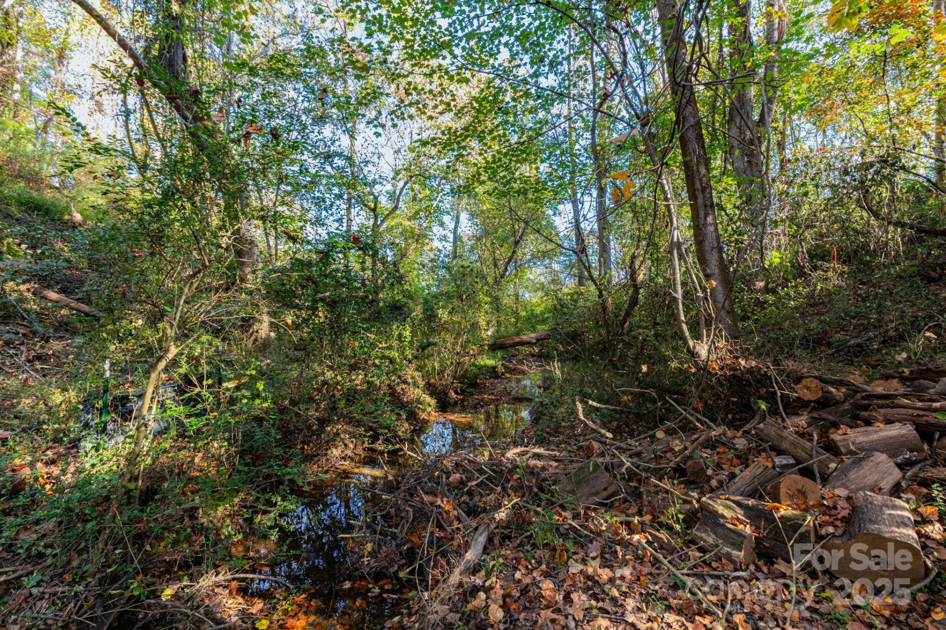 30 Waynesville Avenue #22 - Photo 6