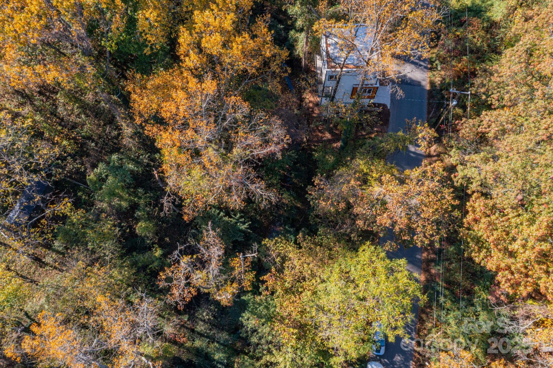 30 Waynesville Avenue #22 - Photo 10