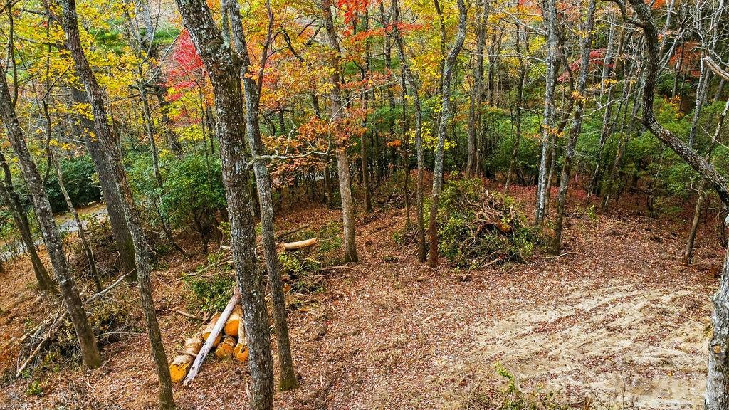 000 Indian Lake Road #21 - Photo 8