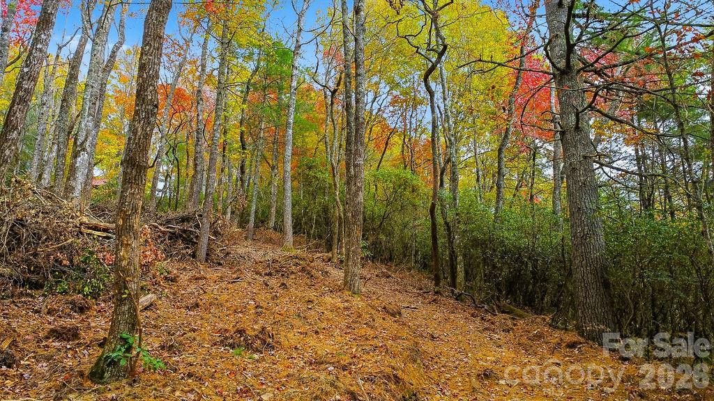 000 Indian Lake Road #21 - Photo 9