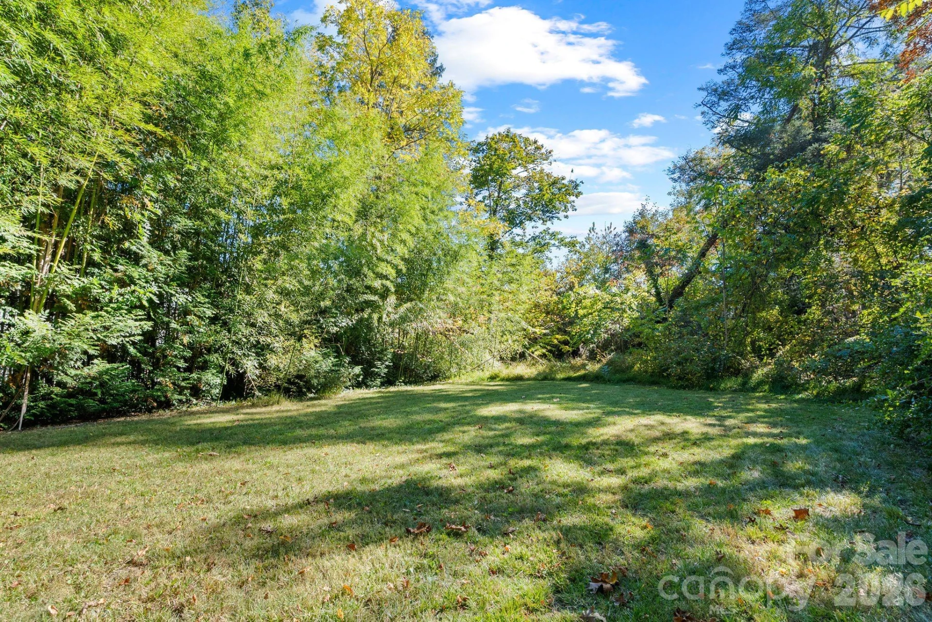 414 Beaucatcher Road - Photo 21