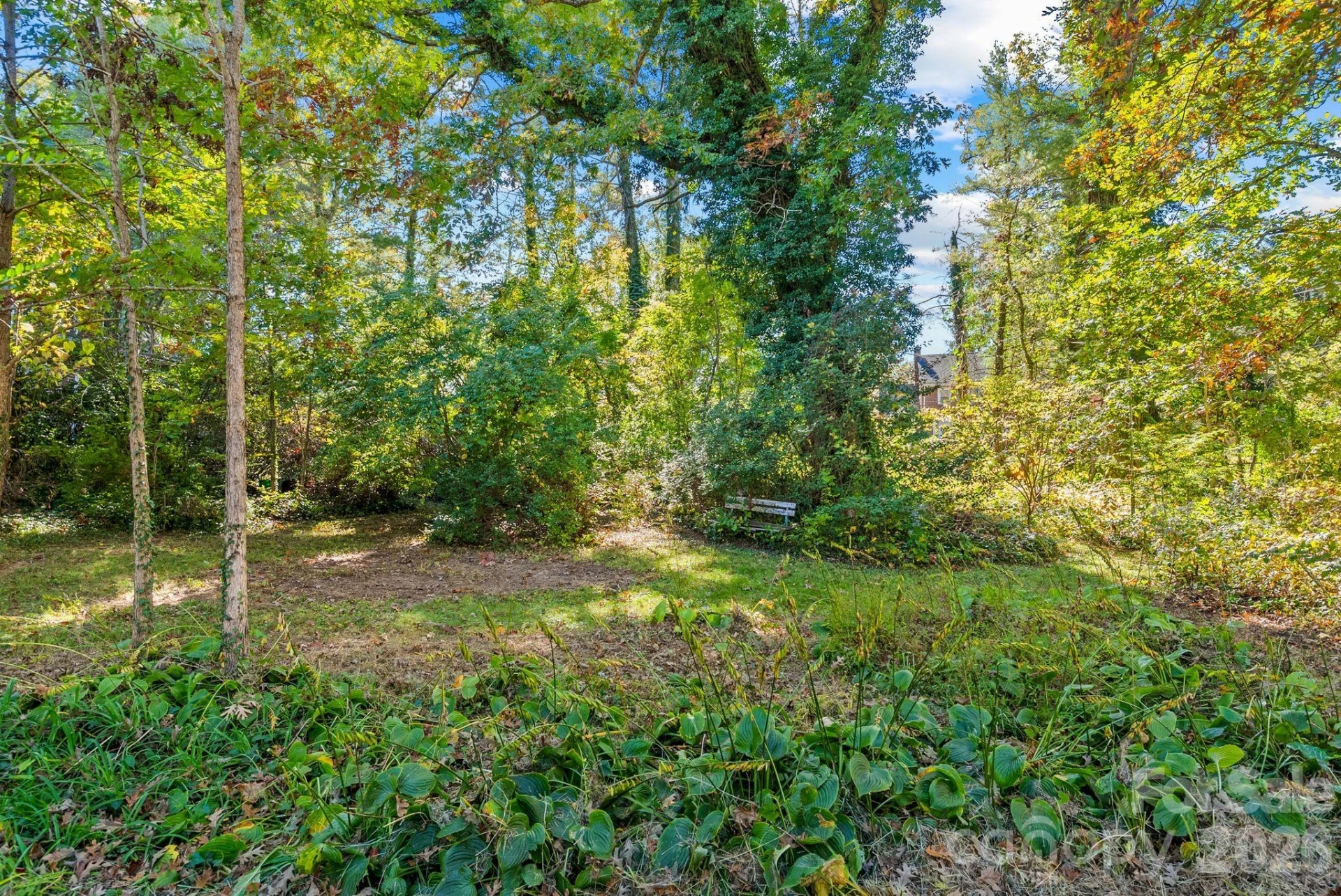 414 Beaucatcher Road - Photo 9