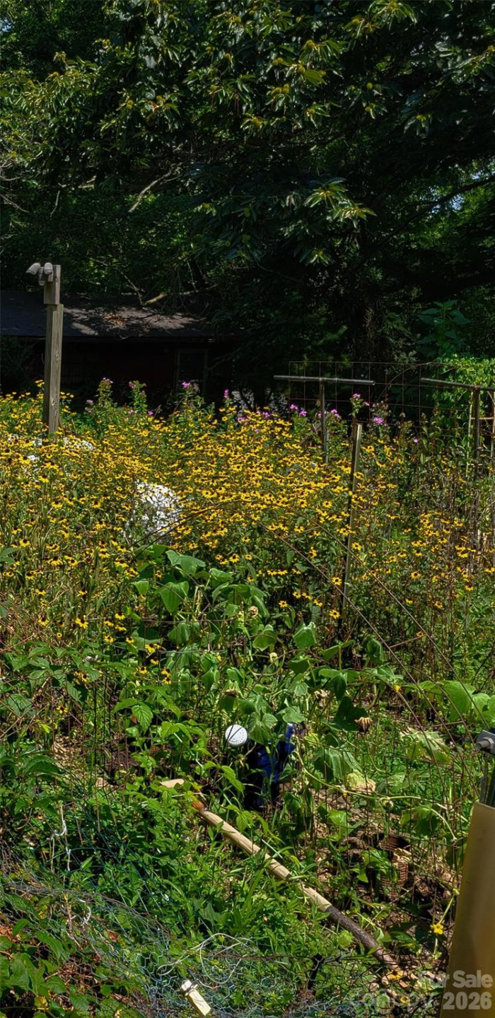 414 Beaucatcher Road - Photo 78