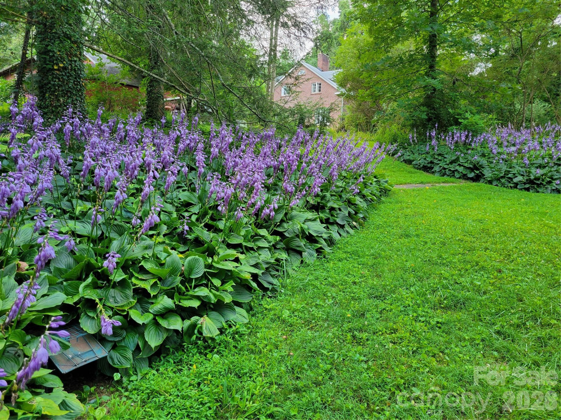 414 Beaucatcher Road - Photo 81