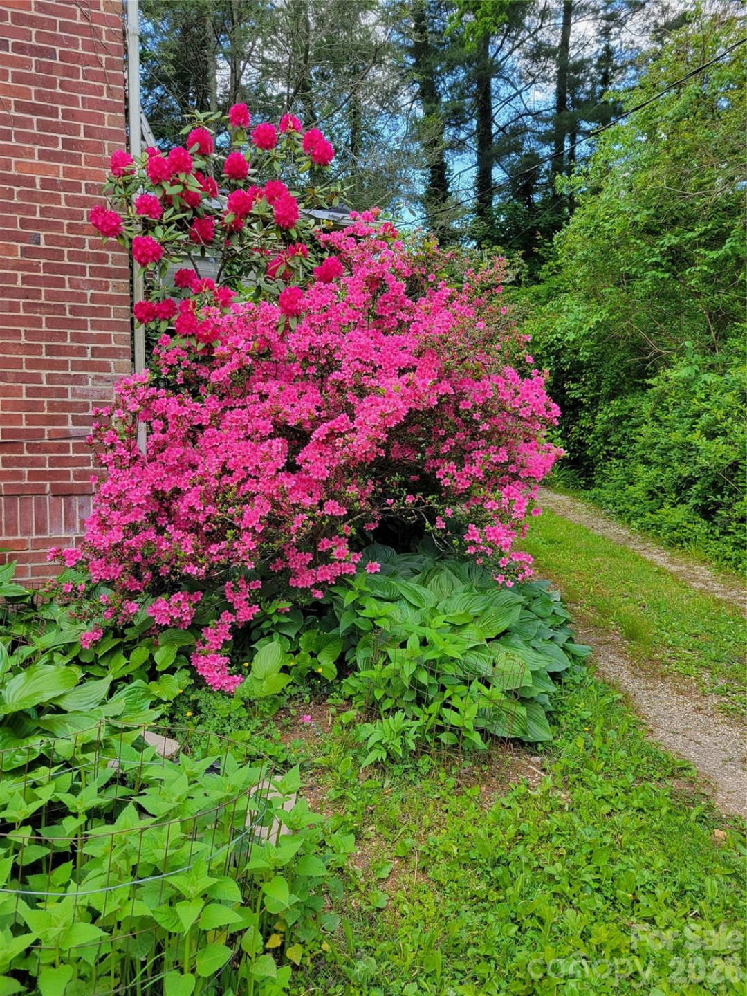 414 Beaucatcher Road - Photo 82