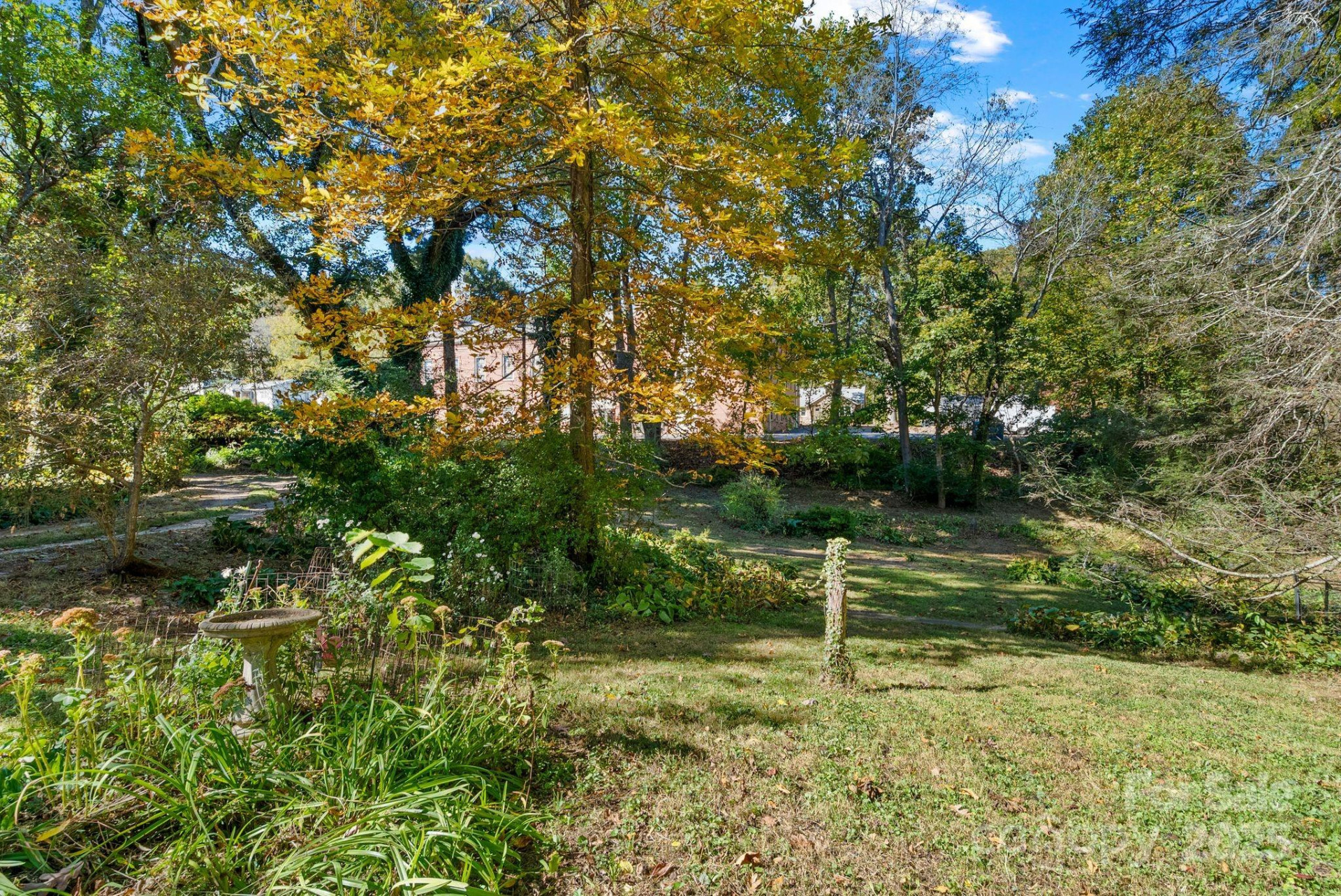 414 Beaucatcher Road - Photo 9