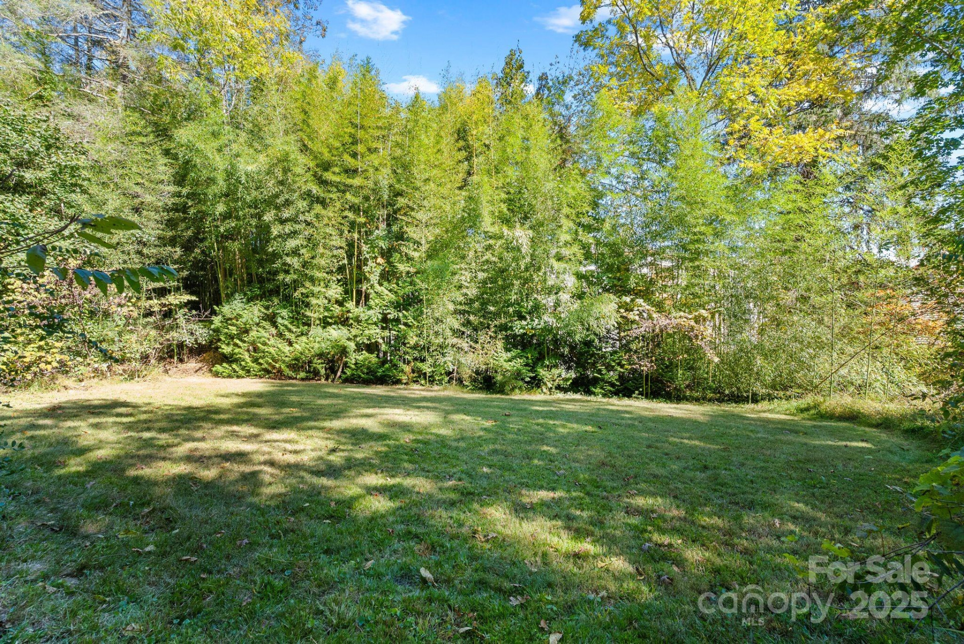 414 Beaucatcher Road - Photo 10