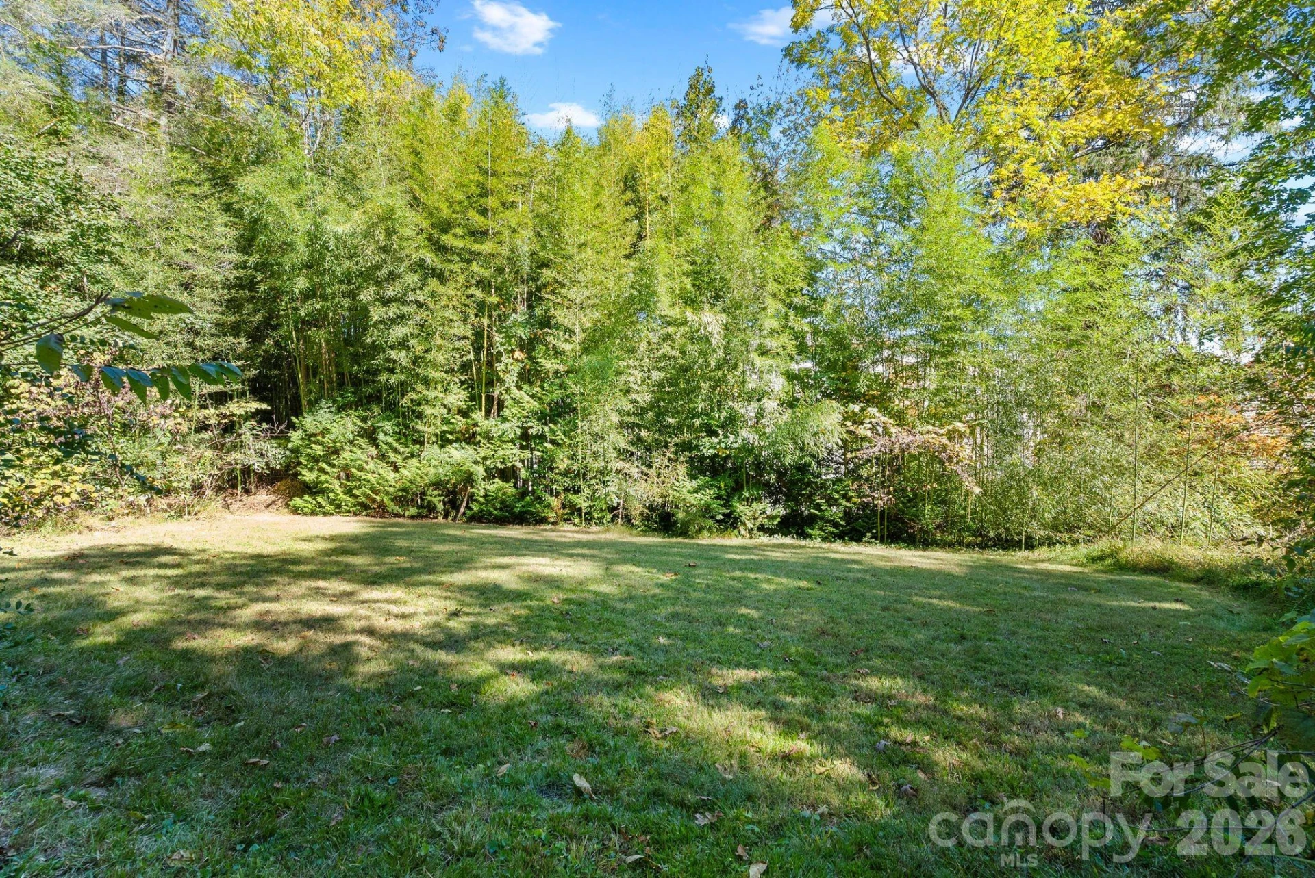 414 Beaucatcher Road - Photo 19