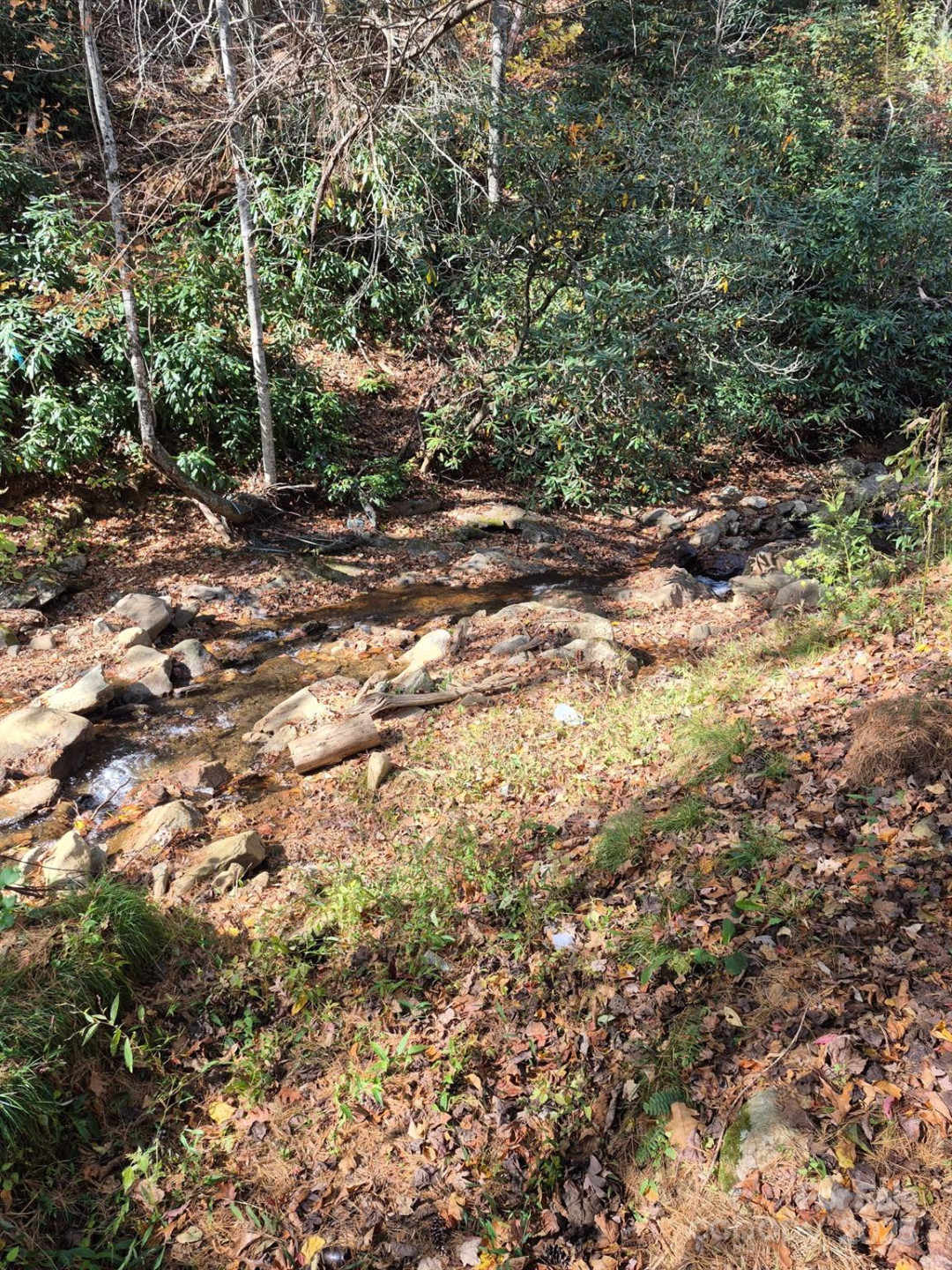 9 Smokey Cove Road - Photo 5