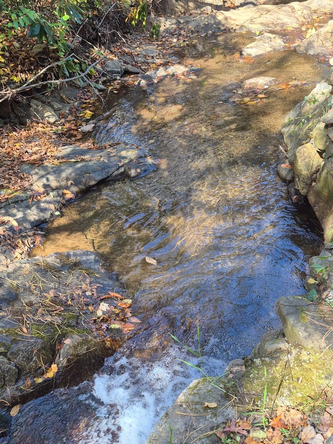9 Smokey Cove Road - Photo 14