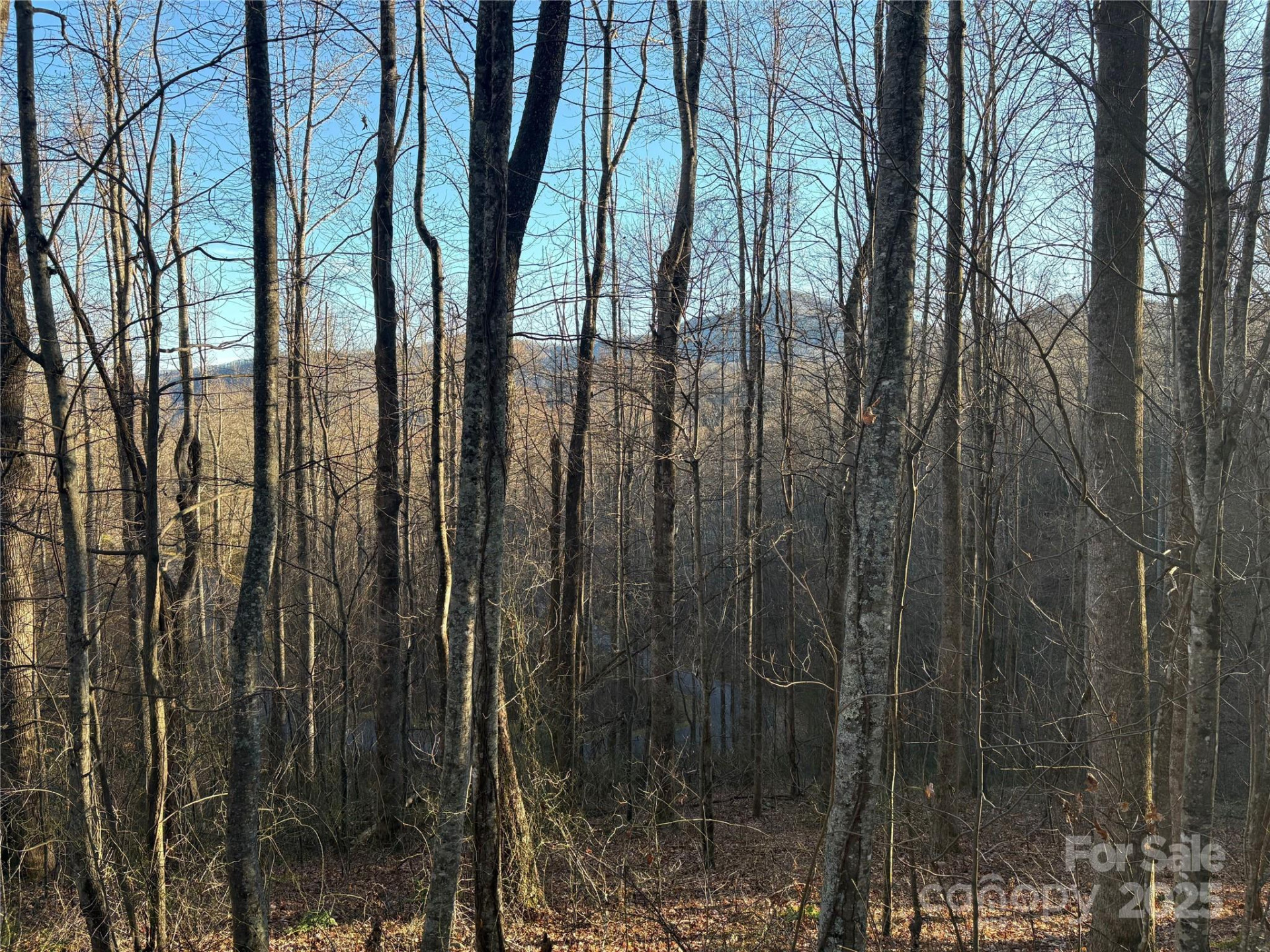 28 Cadillac Pointe - Photo 2