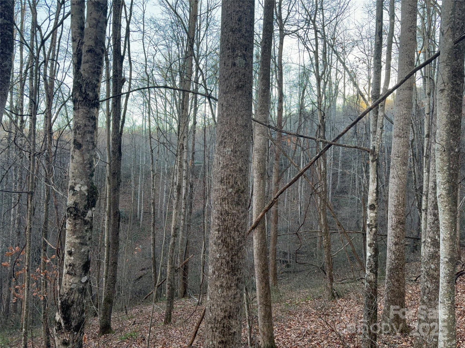 28 Cadillac Pointe - Photo 11