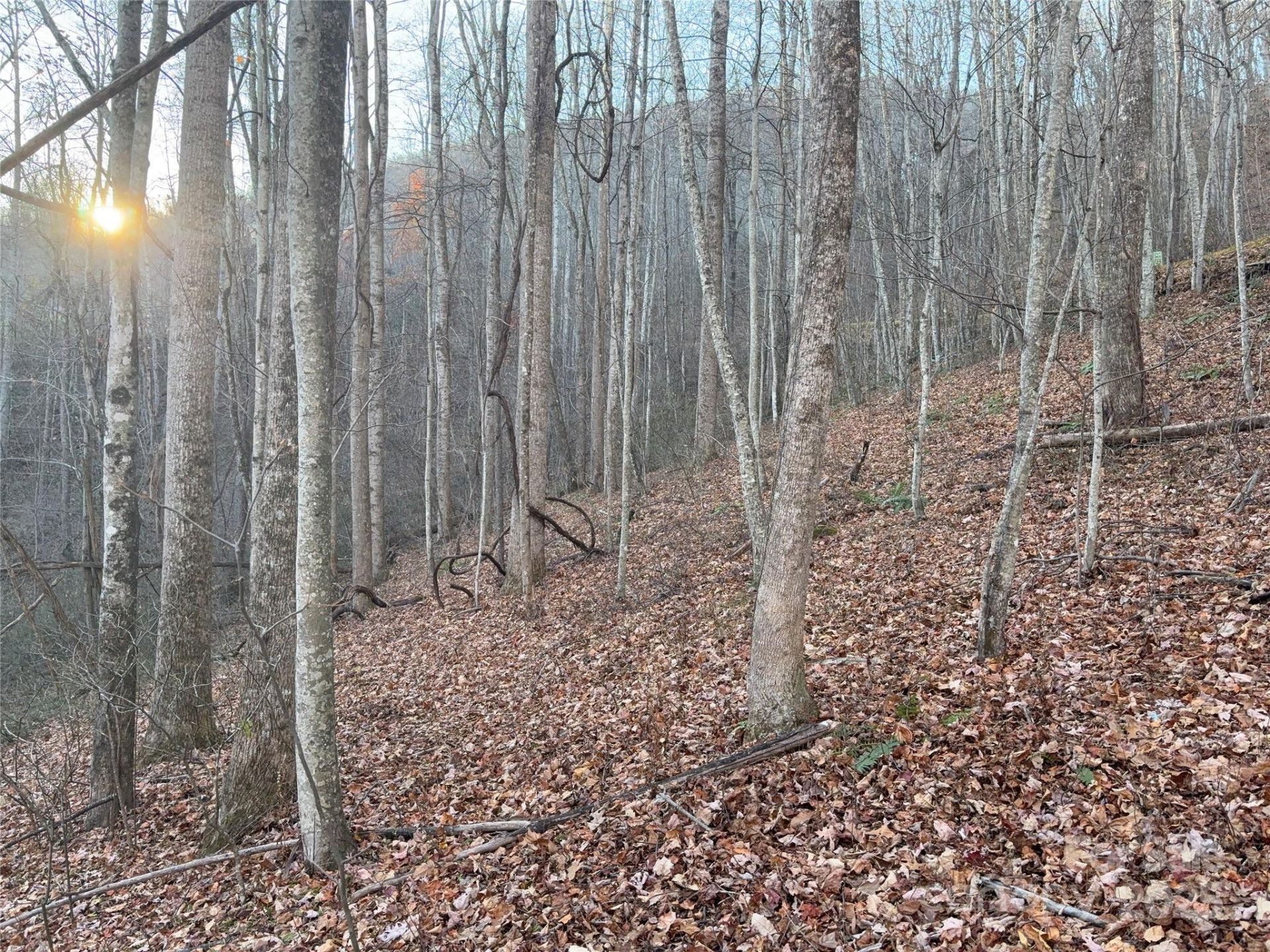 28 Cadillac Pointe - Photo 12