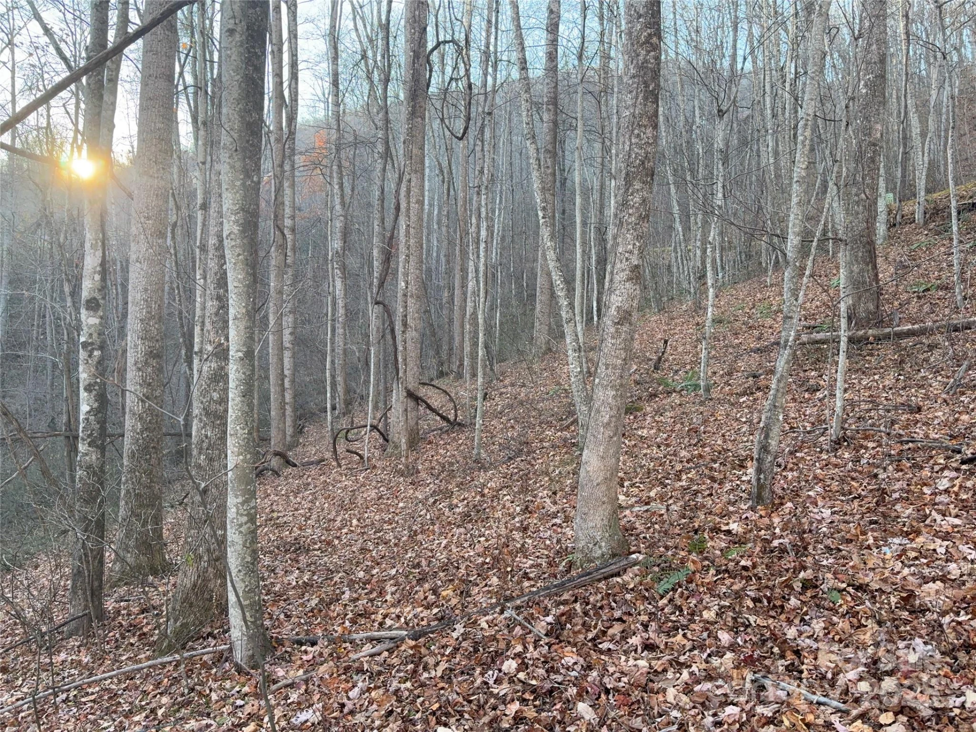28 Cadillac Pointe - Photo 12