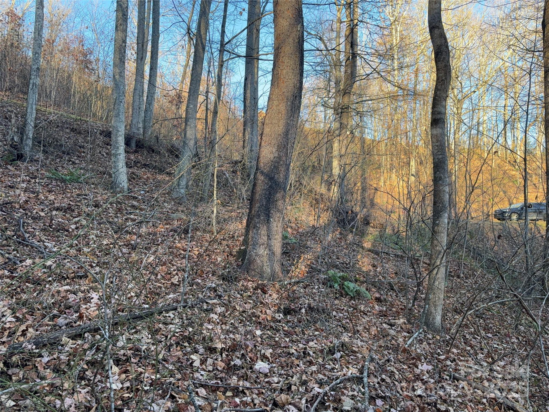 28 Cadillac Pointe - Photo 13