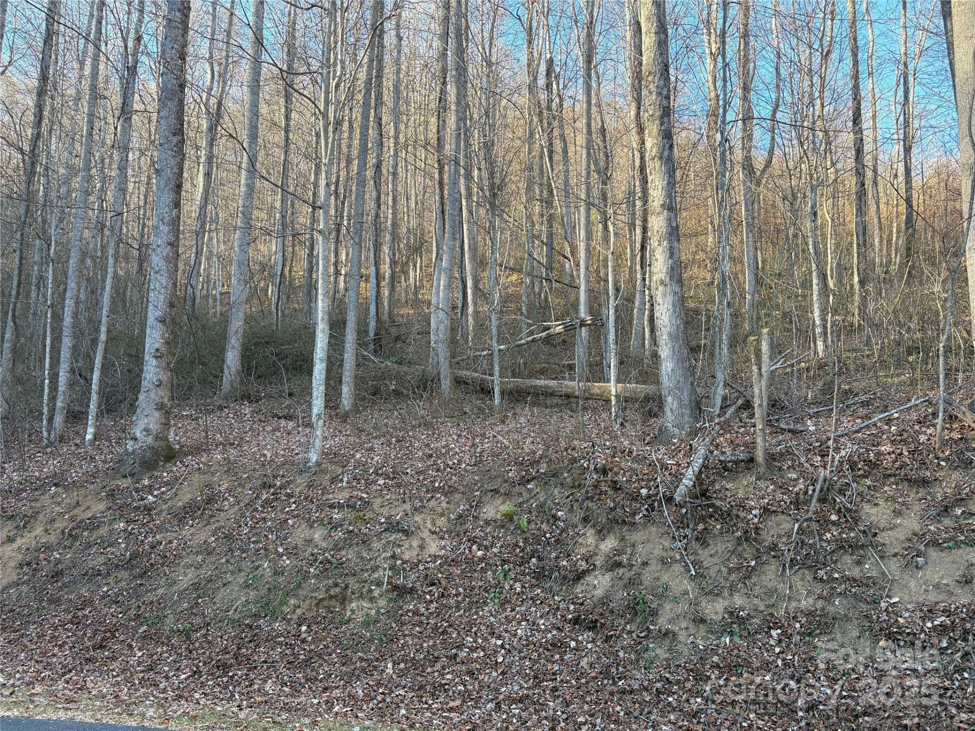 28 Cadillac Pointe - Photo 14