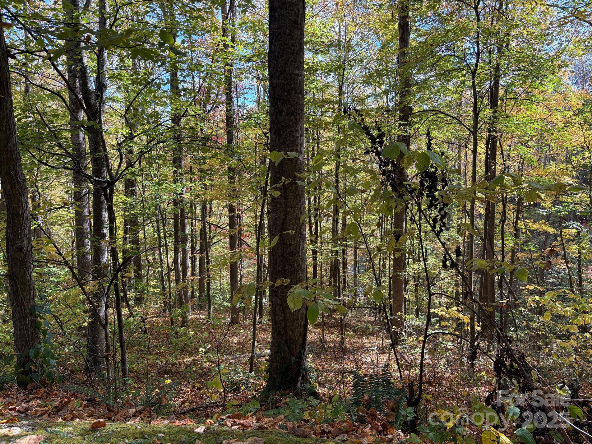 28 Cadillac Pointe - Photo 15