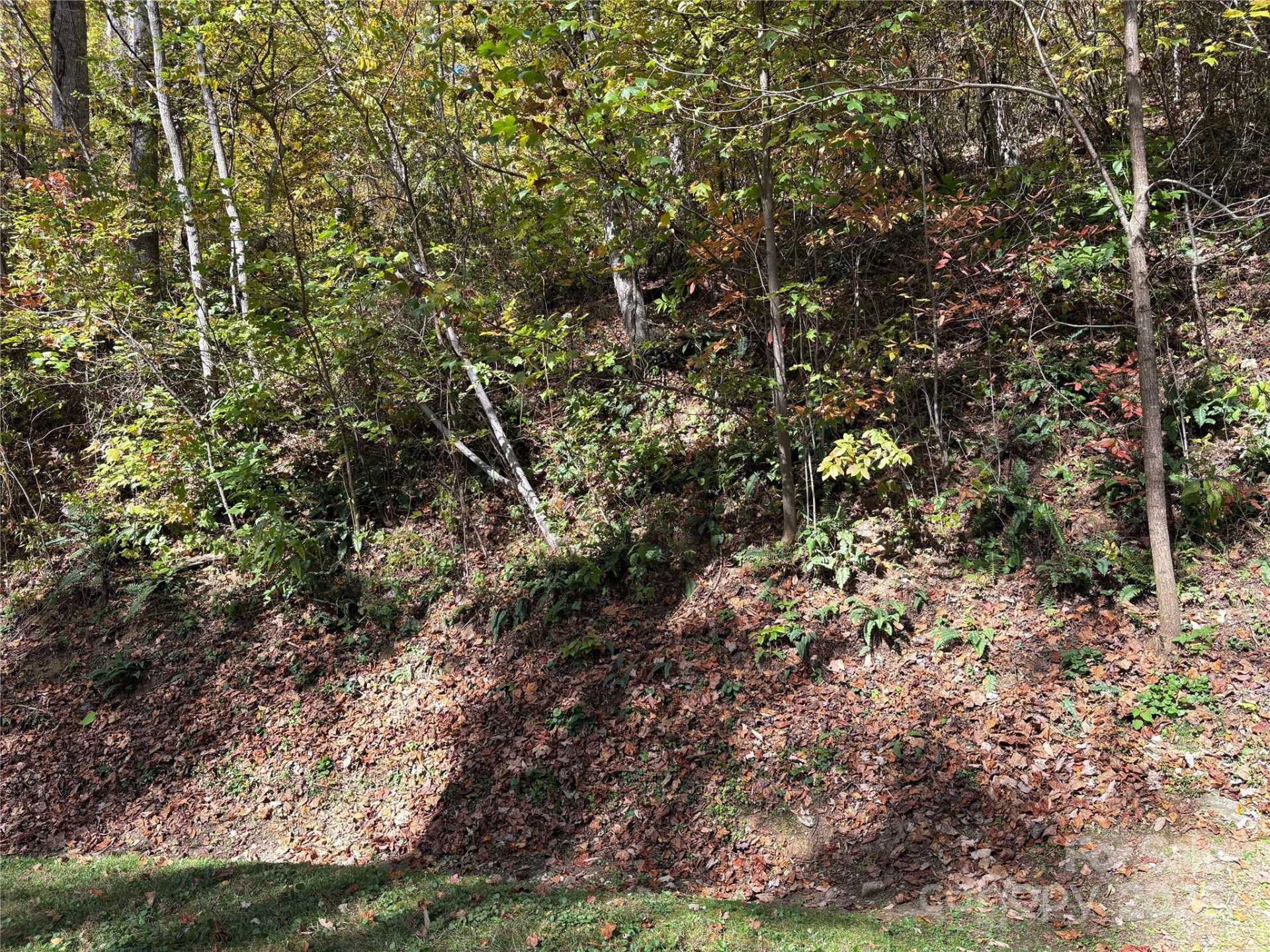 28 Cadillac Pointe - Photo 18