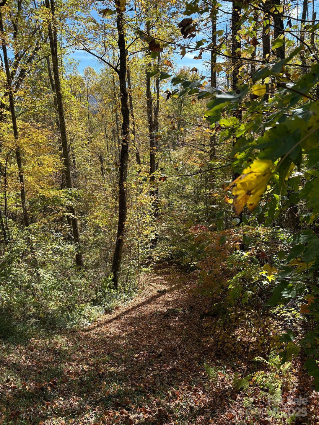 28 Cadillac Pointe - Photo 19