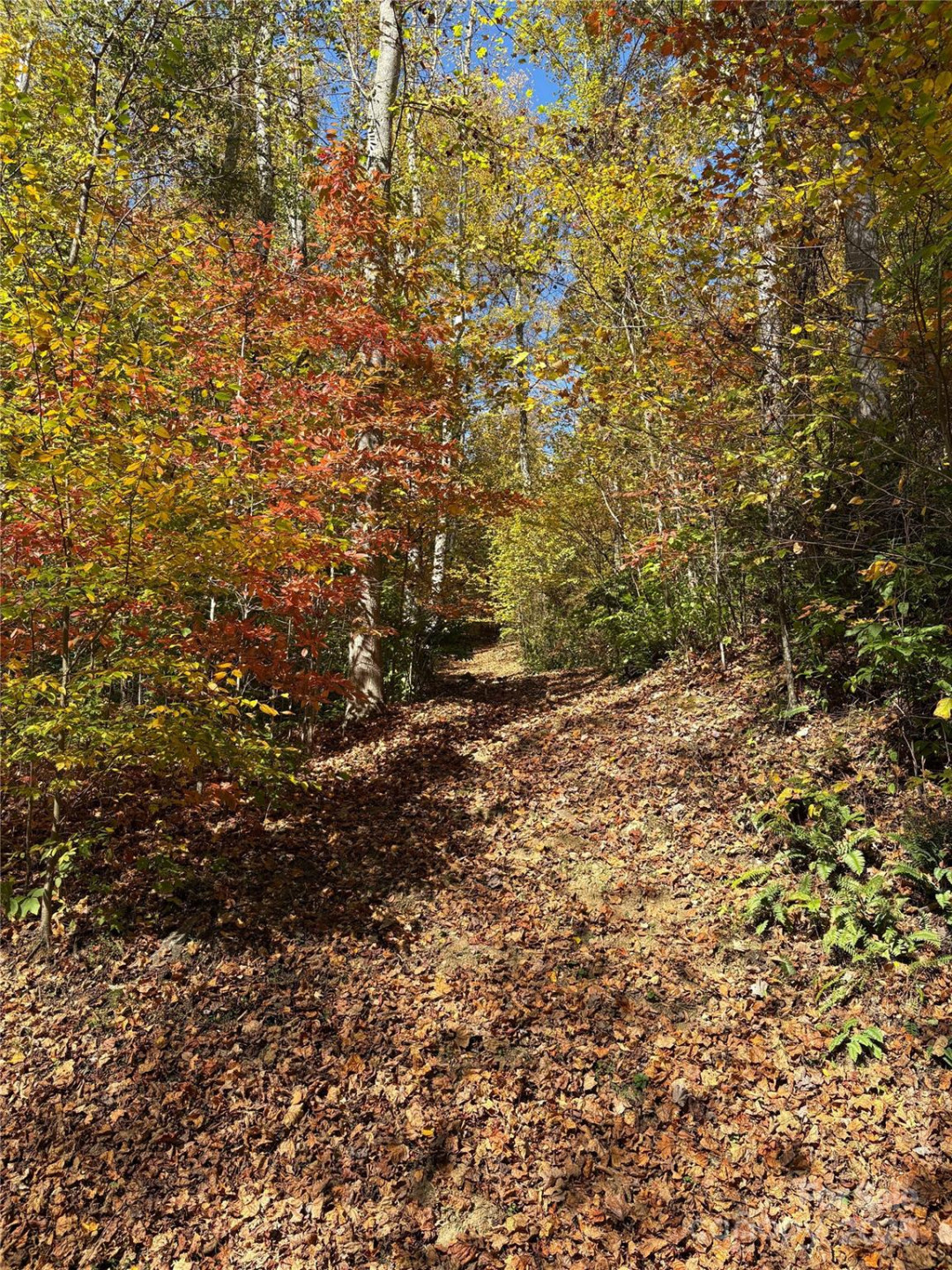 28 Cadillac Pointe - Photo 20