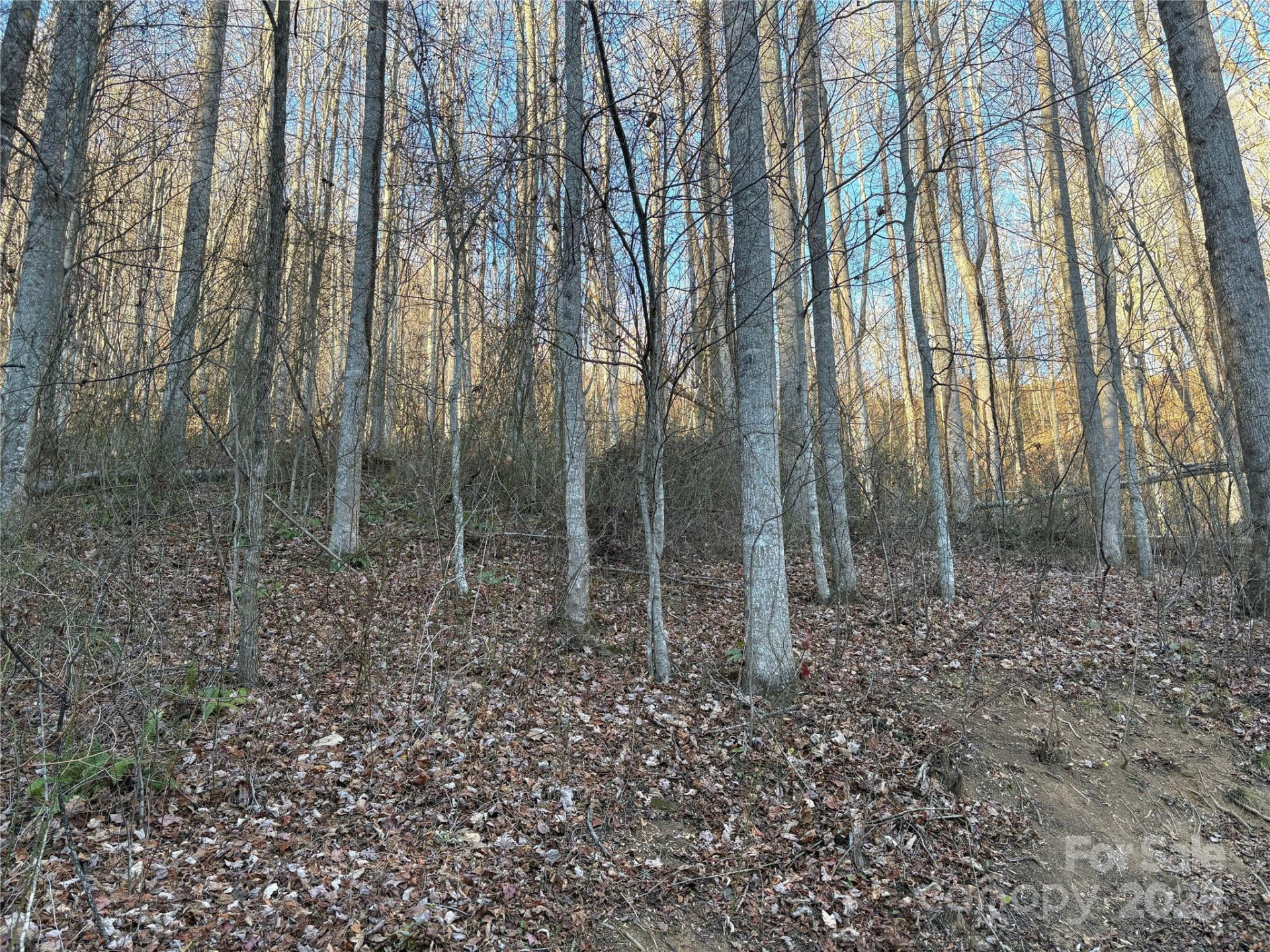 28 Cadillac Pointe - Photo 3