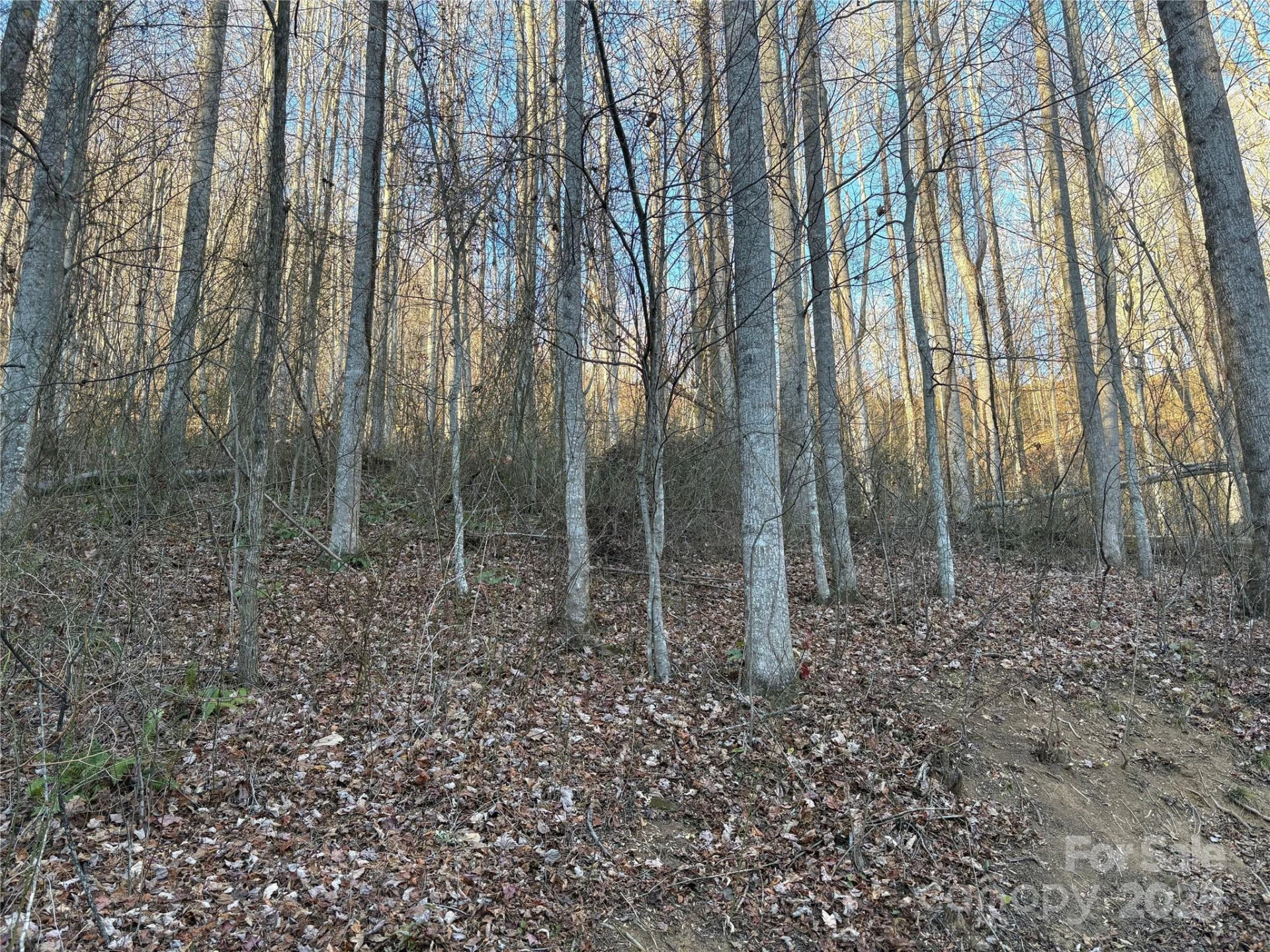 28 Cadillac Pointe - Photo 3