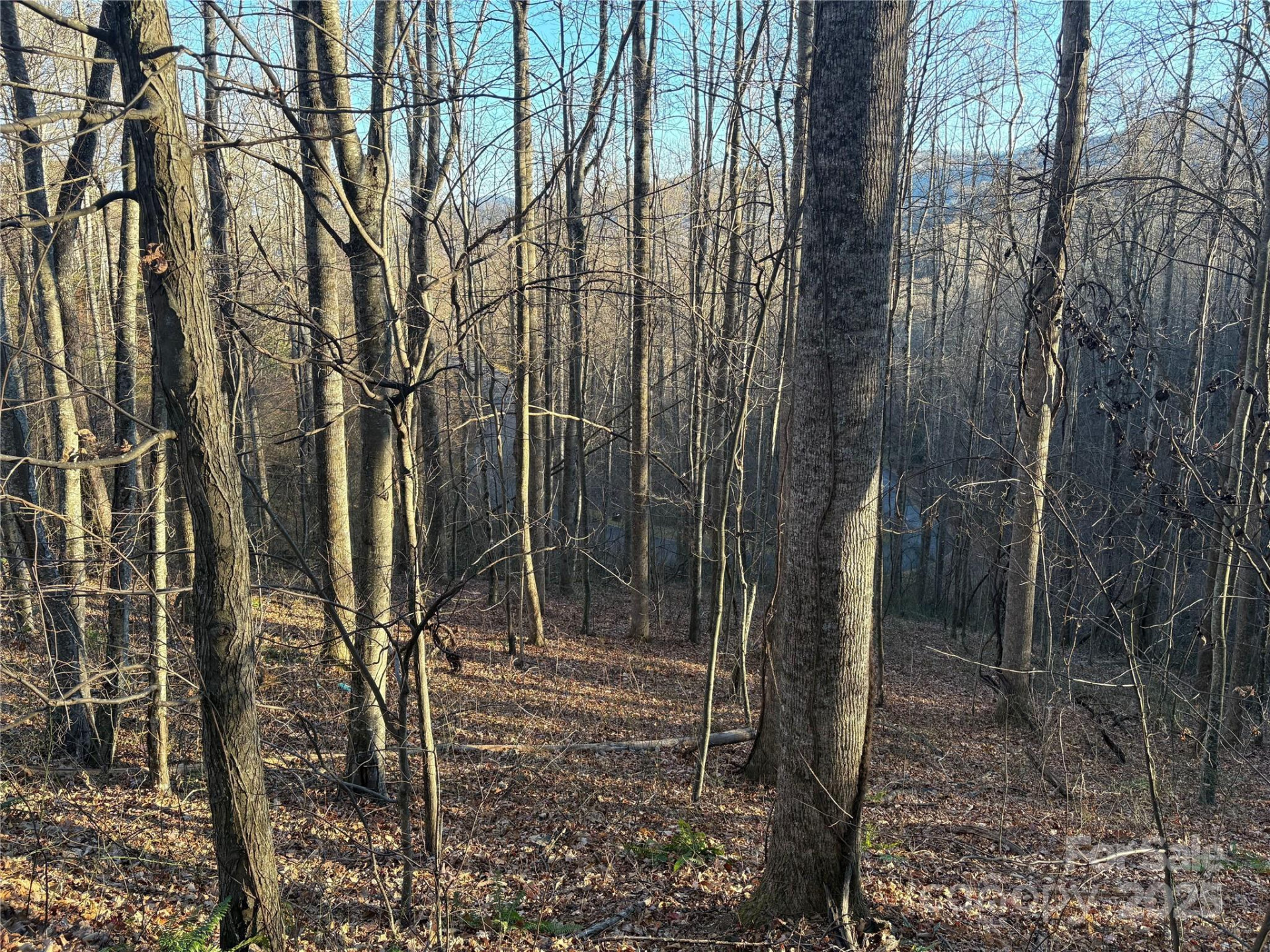 28 Cadillac Pointe - Photo 4