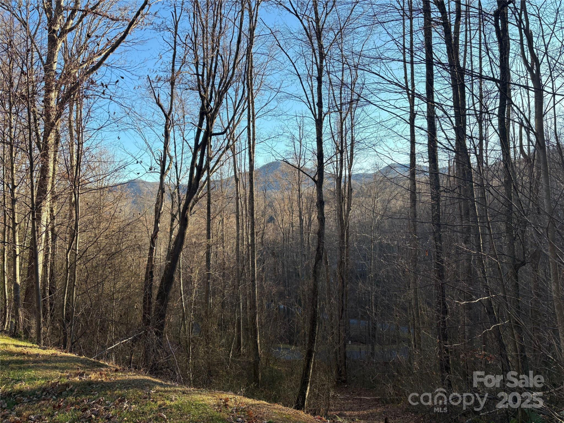 28 Cadillac Pointe - Photo 5