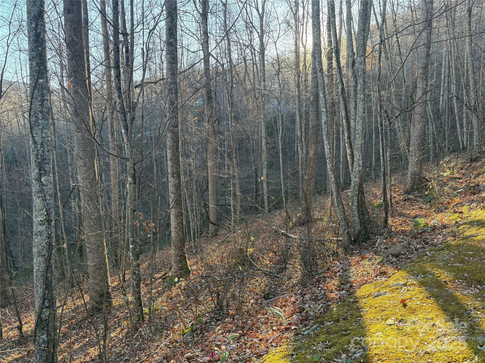 28 Cadillac Pointe - Photo 6