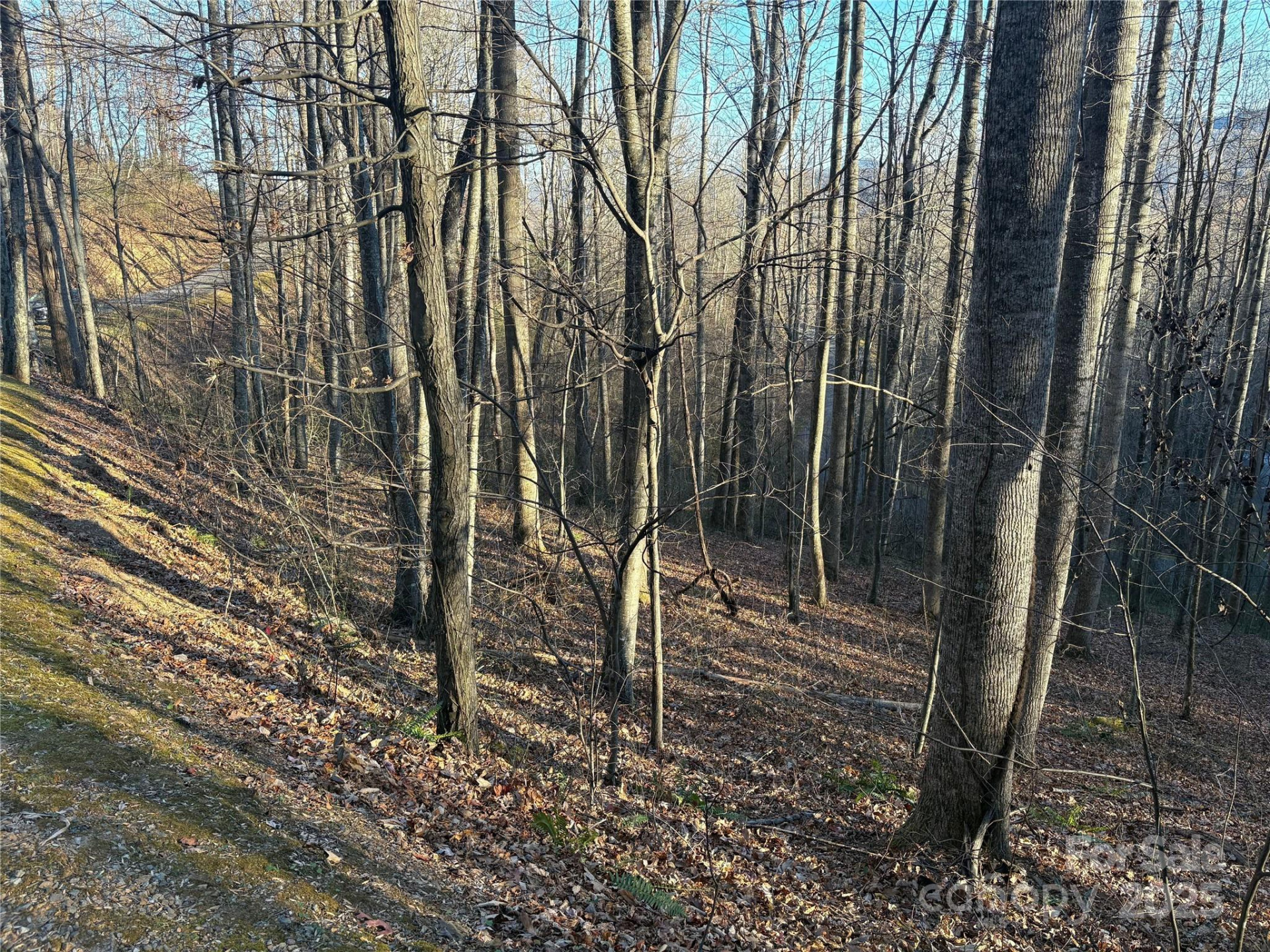 28 Cadillac Pointe - Photo 7