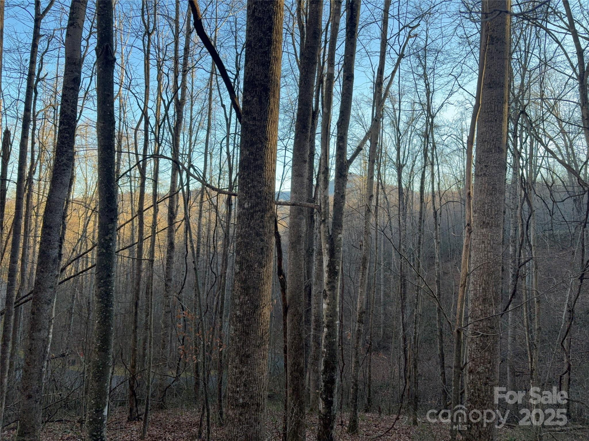 28 Cadillac Pointe - Photo 8