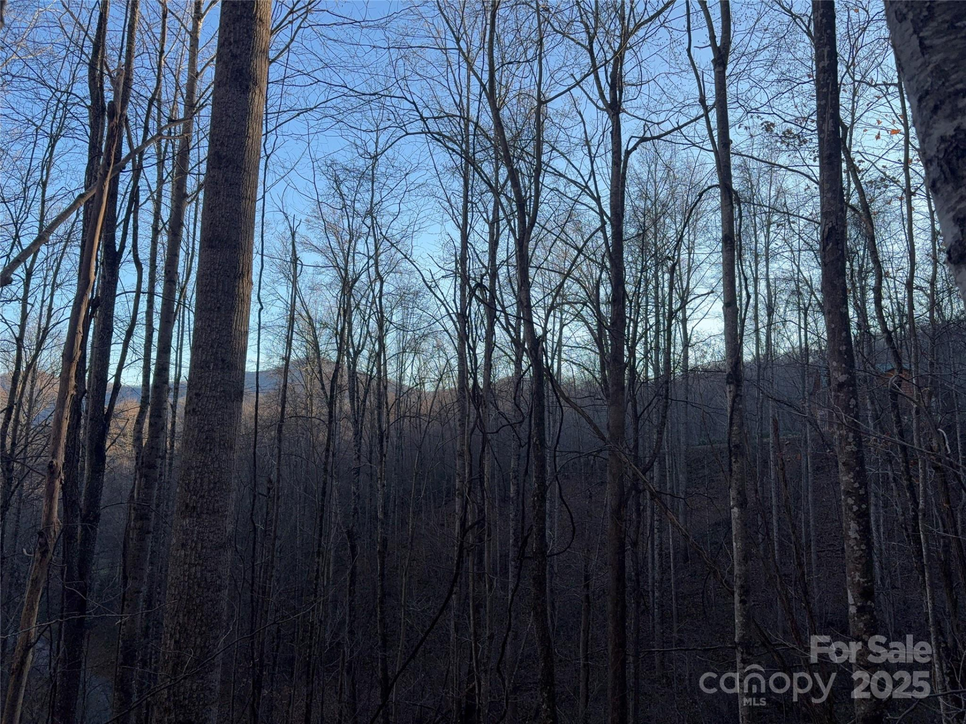 28 Cadillac Pointe - Photo 9