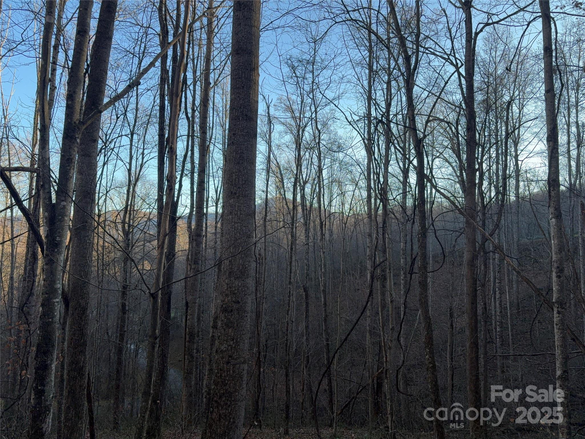 28 Cadillac Pointe - Photo 10