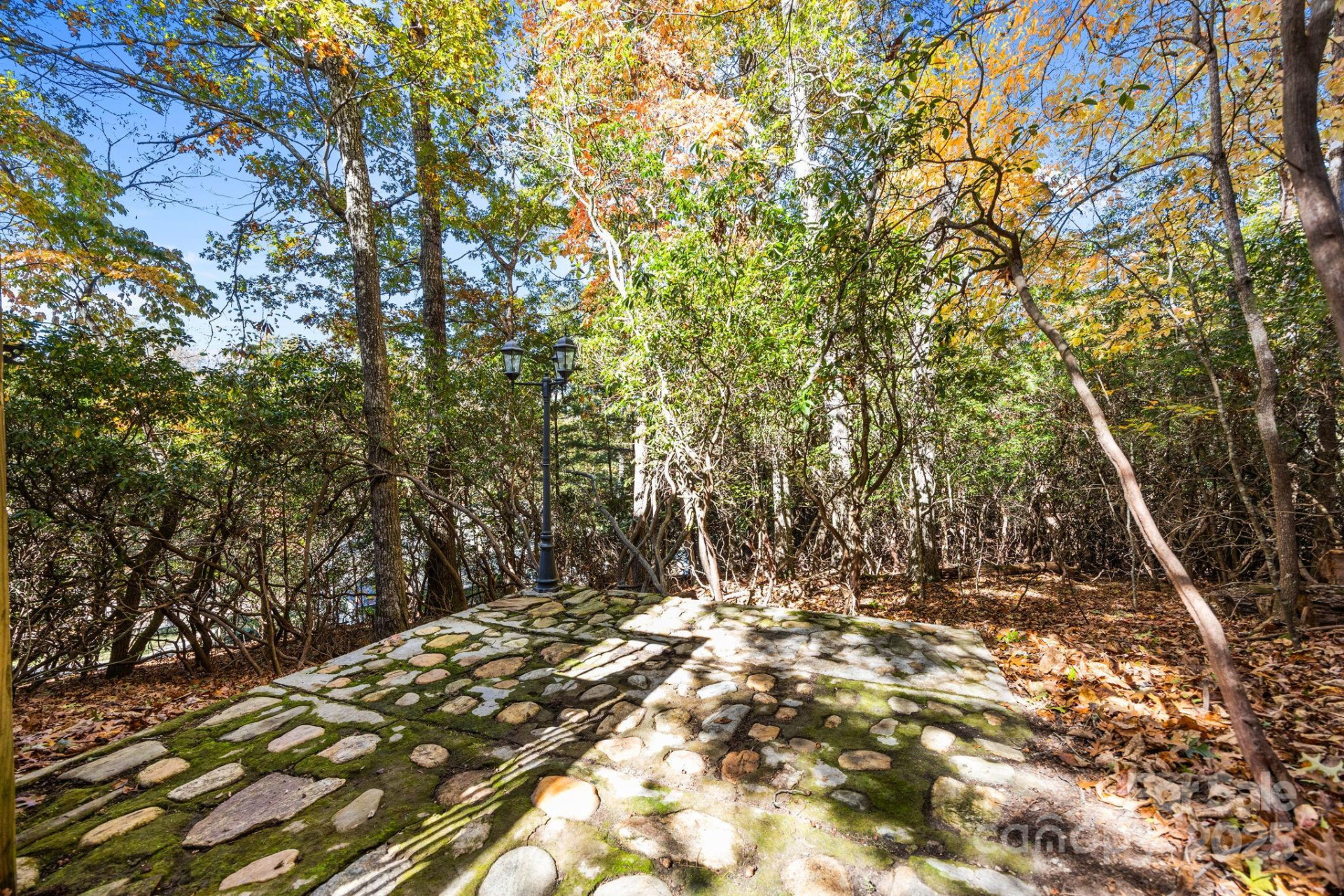 26 Ginsing Point - Photo 12