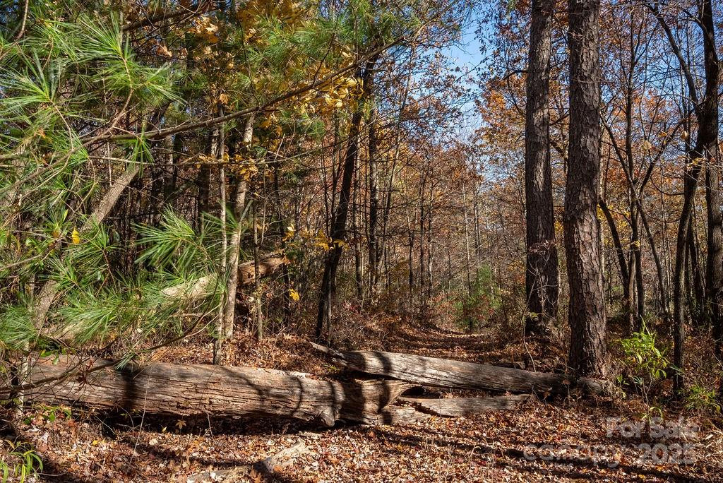 TBD Old Toxaway Road - Photo 11